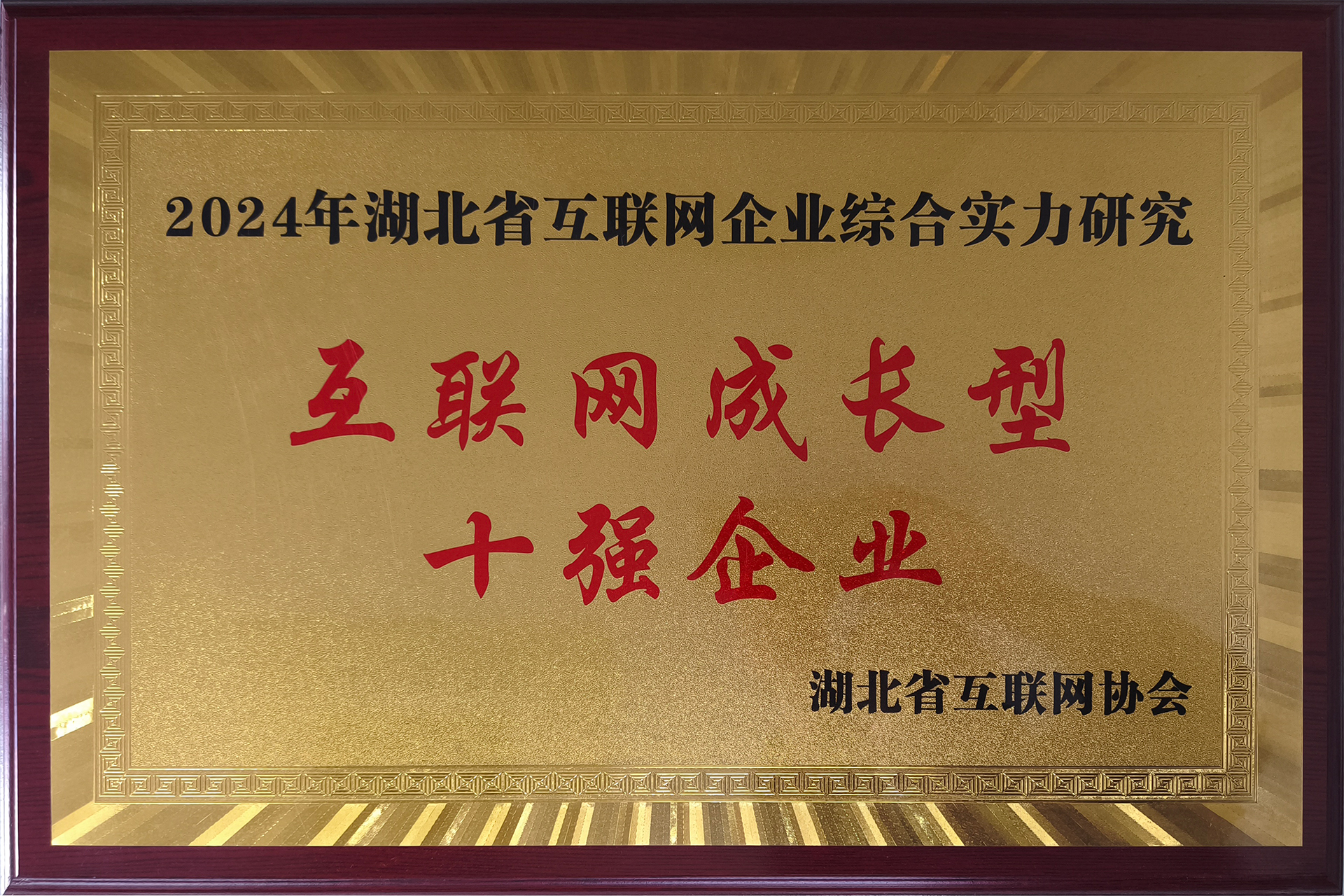 2024年湖北省互聯(lián)網(wǎng)成長型十強企業(yè)